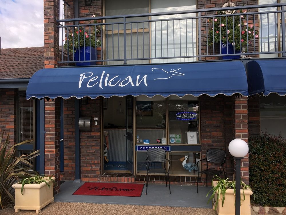Pelican Motor Inn image 1